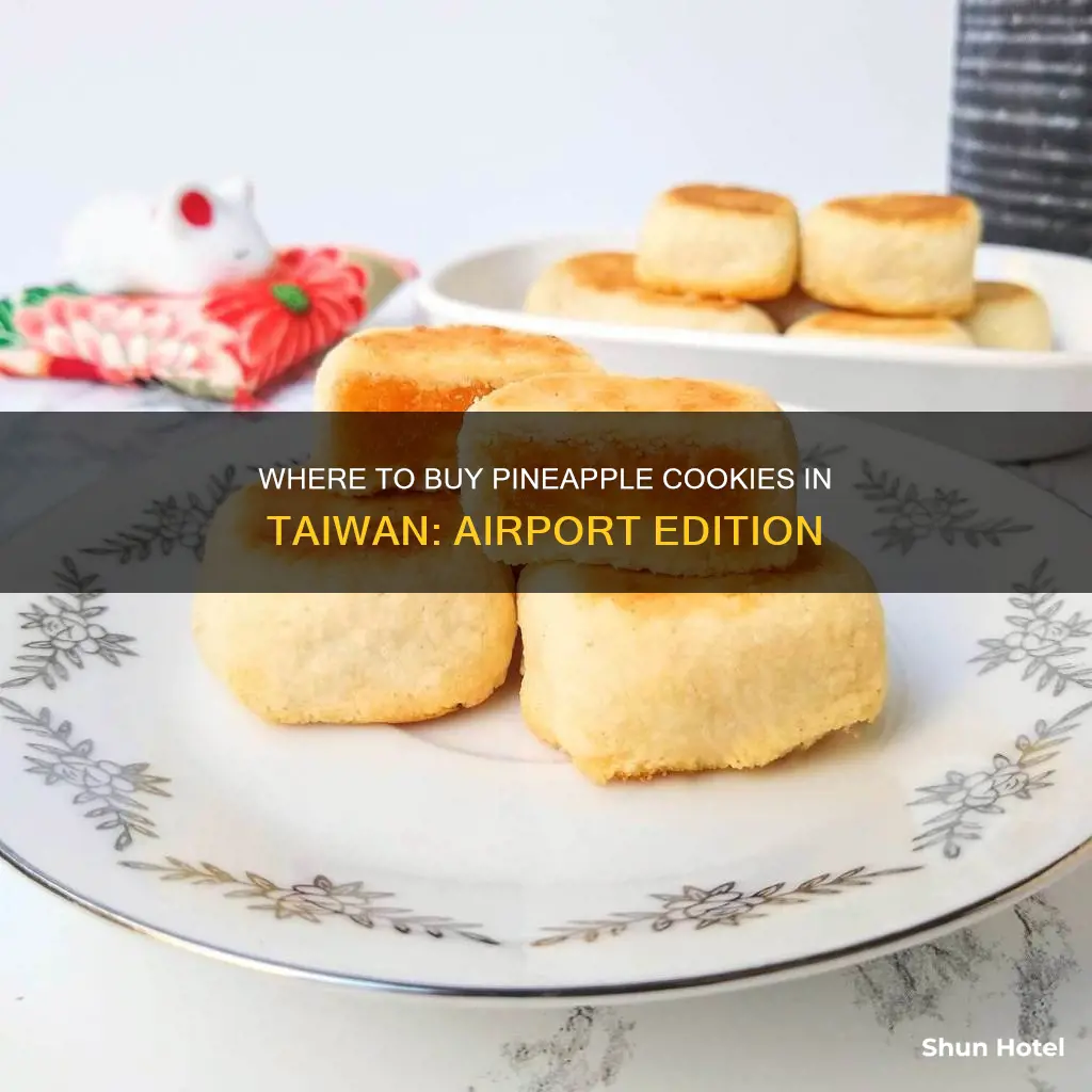 can you buy pineapple cookie in taiwan airport