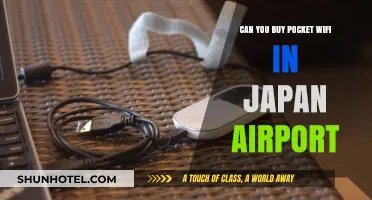 Pocket Wifi in Japan: Buying Options at Airports