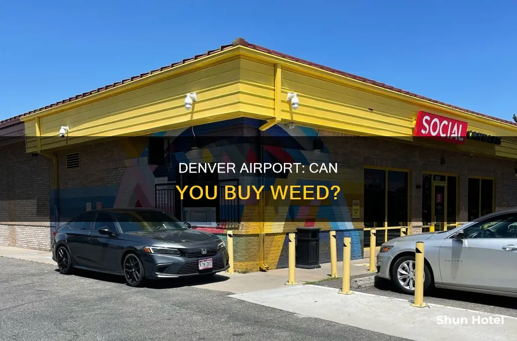 can you buy pot at denver airport