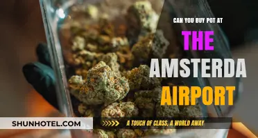 Amsterdam Airport: Can You Buy Weed?