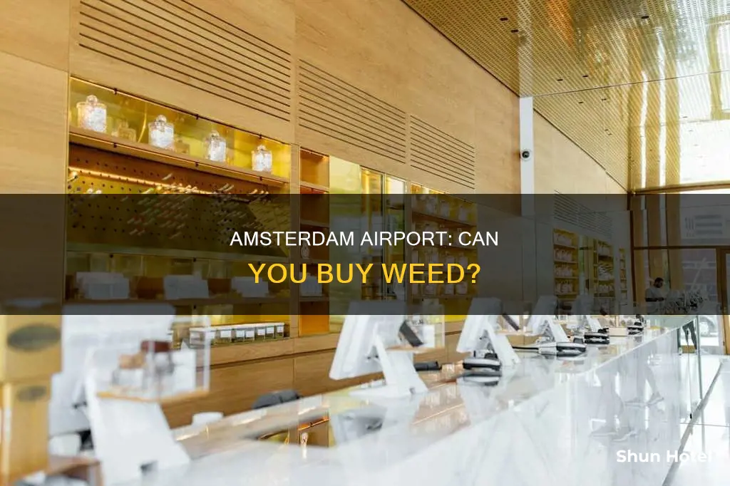 can you buy pot at the amsterdam airport