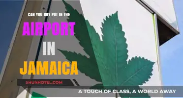 Buying Weed at Jamaican Airports: Is It Possible?