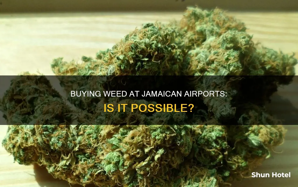 can you buy pot in the airport in jamaica