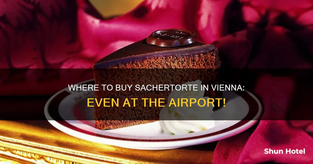 can you buy sachertorte in vienna airport