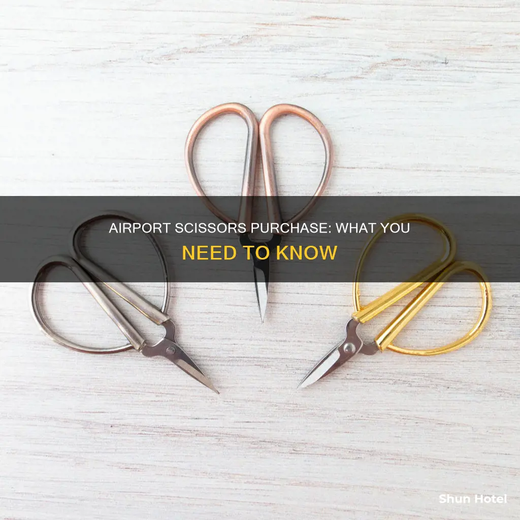 can you buy scissors at the airport
