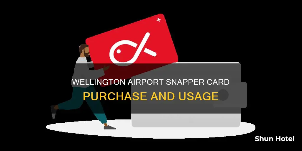 can you buy snapper card at wellington airport