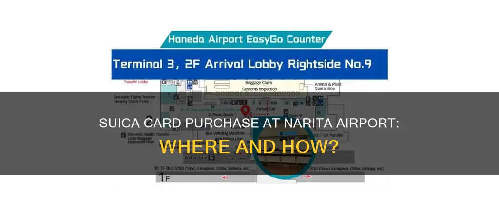can you buy suica card at narita airport