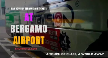 Bergamo Airport: Buying Terravision Tickets