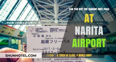 Where to Buy Hakone Free Pass at Narita Airport?