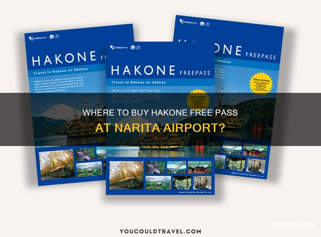 can you buy the hakone free pass at narita airport