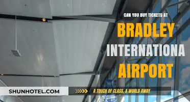 Bradley International: Buying Tickets at the Airport?
