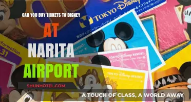 Disney Tickets at Narita Airport: Where to Buy?