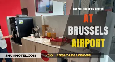 Brussels Airport Train Tickets: Where to Buy?