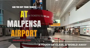Malpensa Airport: Buying Train Tickets on Arrival