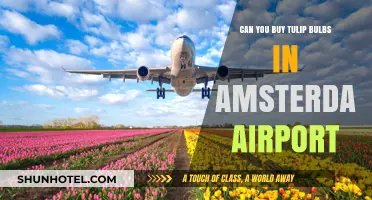 Amsterdam Airport: Buying Tulip Bulbs as Souvenirs