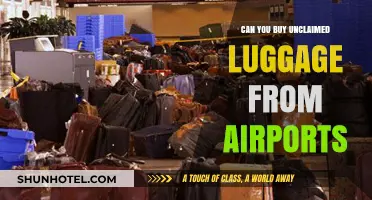 Unclaimed Airport Luggage: Buy or Not to Buy?