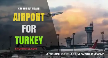 Last-Minute Turkey Visas: Buying at the Airport