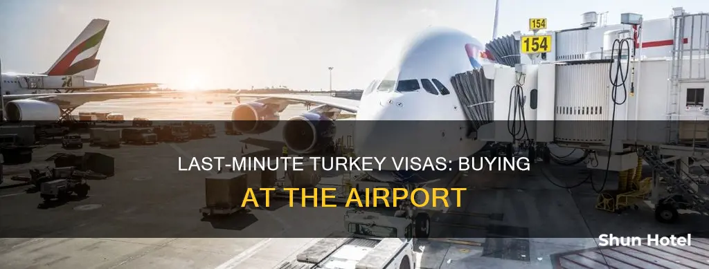 can you buy visa in airport for turkey