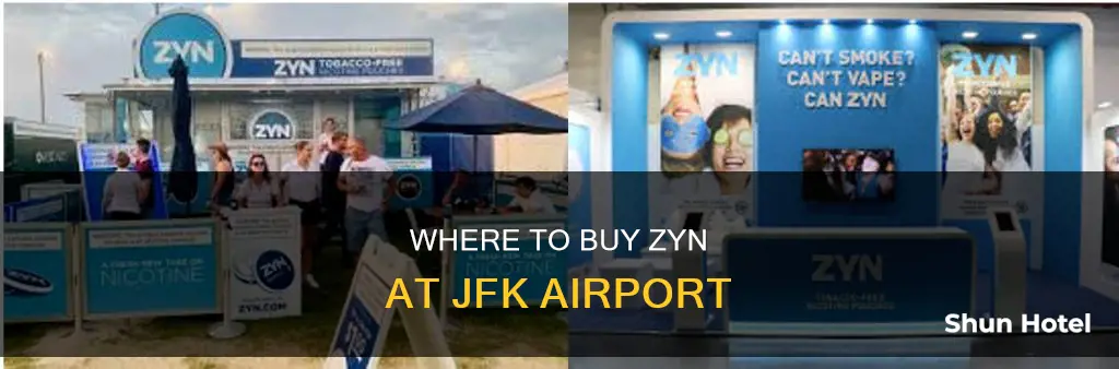 can you buy zyn at jfk airport
