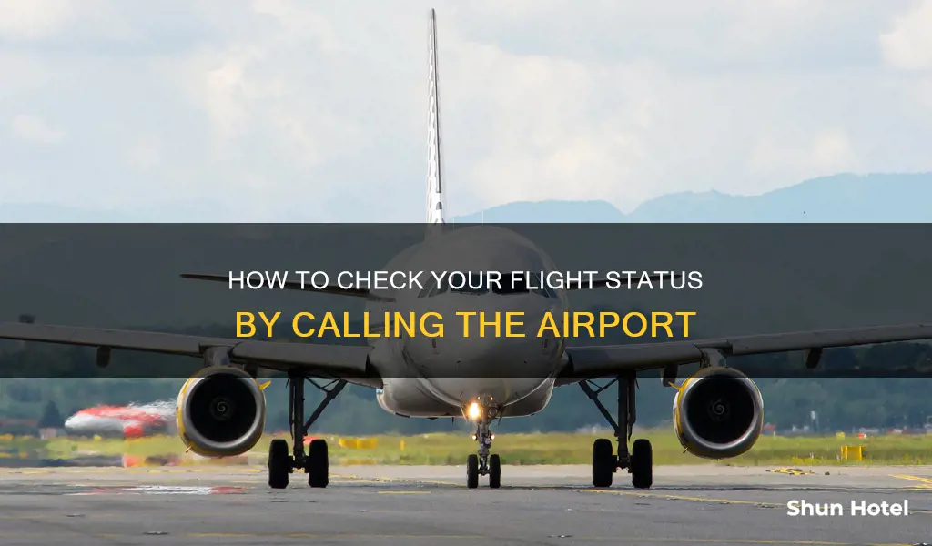 can you call airport to check status