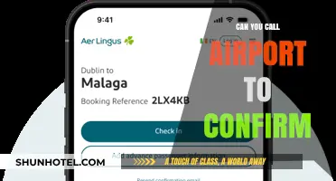Confirming Flight Details: A Quick Call to the Airport