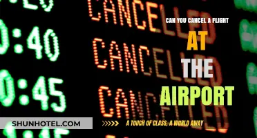 Canceling Flights: Last-Minute Changes at the Airport