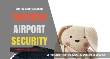 Blankets on a Plane: What You Need to Know