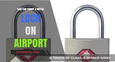 Metal Locks: Airport Security Clearance?
