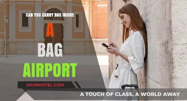 Bag-in-Bag Airport Travel: Is it Allowed?
