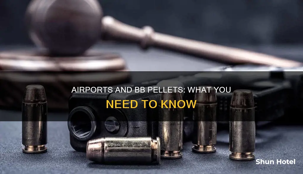 can you carry bb pellets in a airport