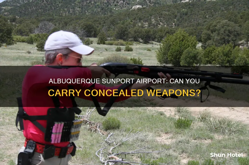 can you carry concealed in sunport airport albuquerque
