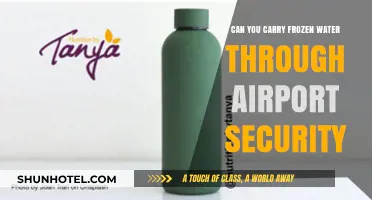 Travel Tip: Carrying Frozen Water via Airport Security