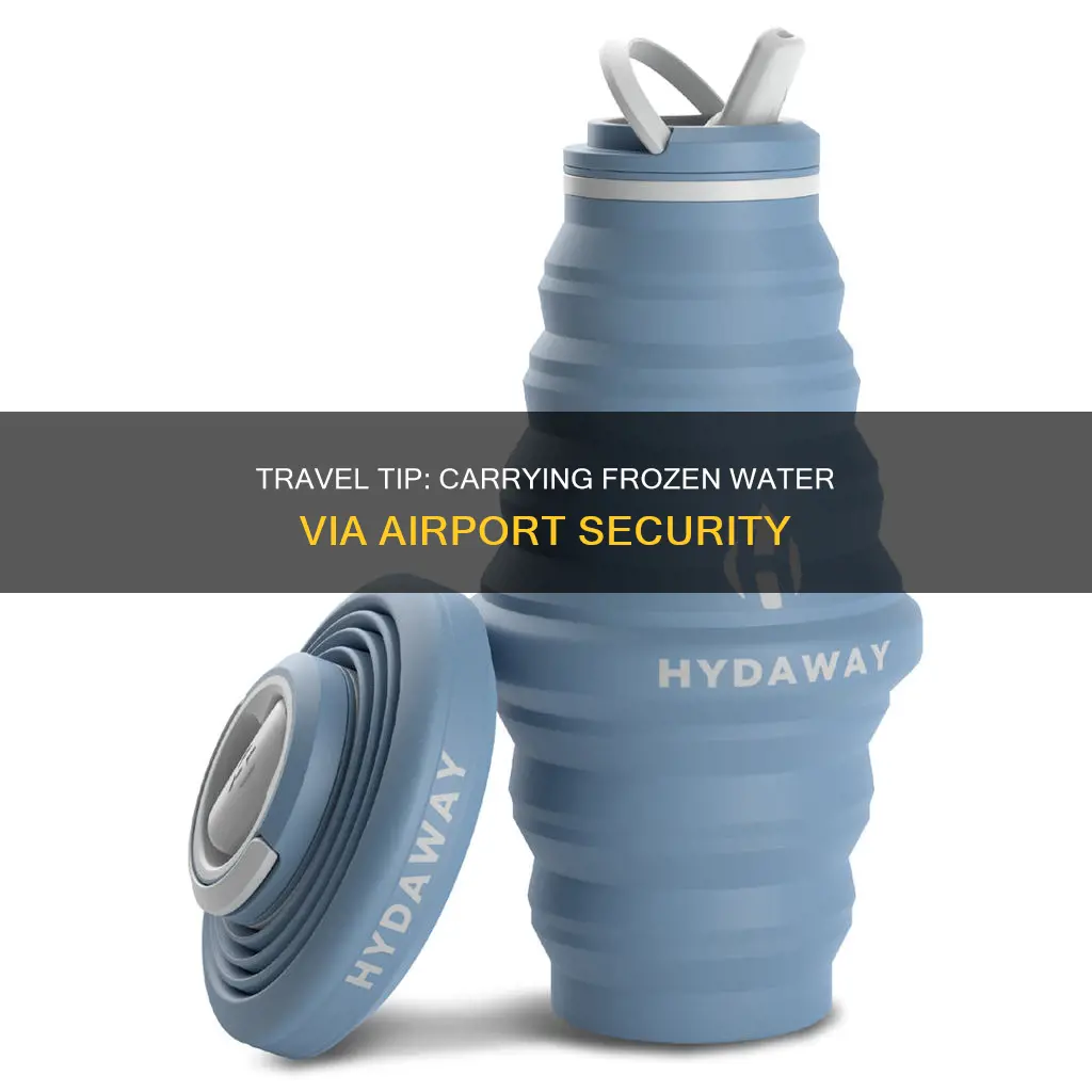 can you carry frozen water through airport security