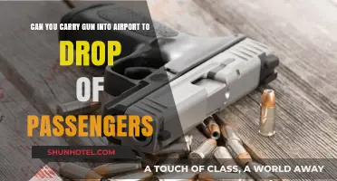 Airport Gun Rules: Can You Bring Firearms?