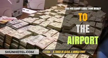 Traveling with Large Sums of Money: Airport Rules