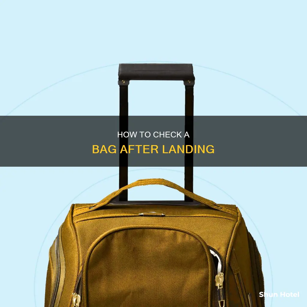 can you check a bag after flying into an airport