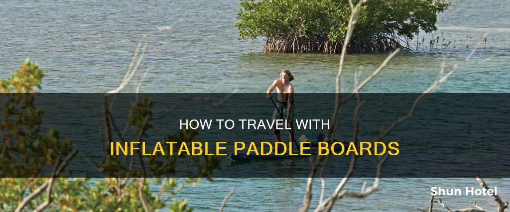 can you check an inflatable paddle board at airport