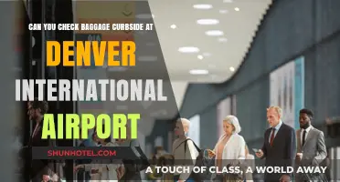 Curbside Baggage Check-In: Denver International Airport Guide