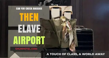 Checking Baggage: Can You Leave the Airport?