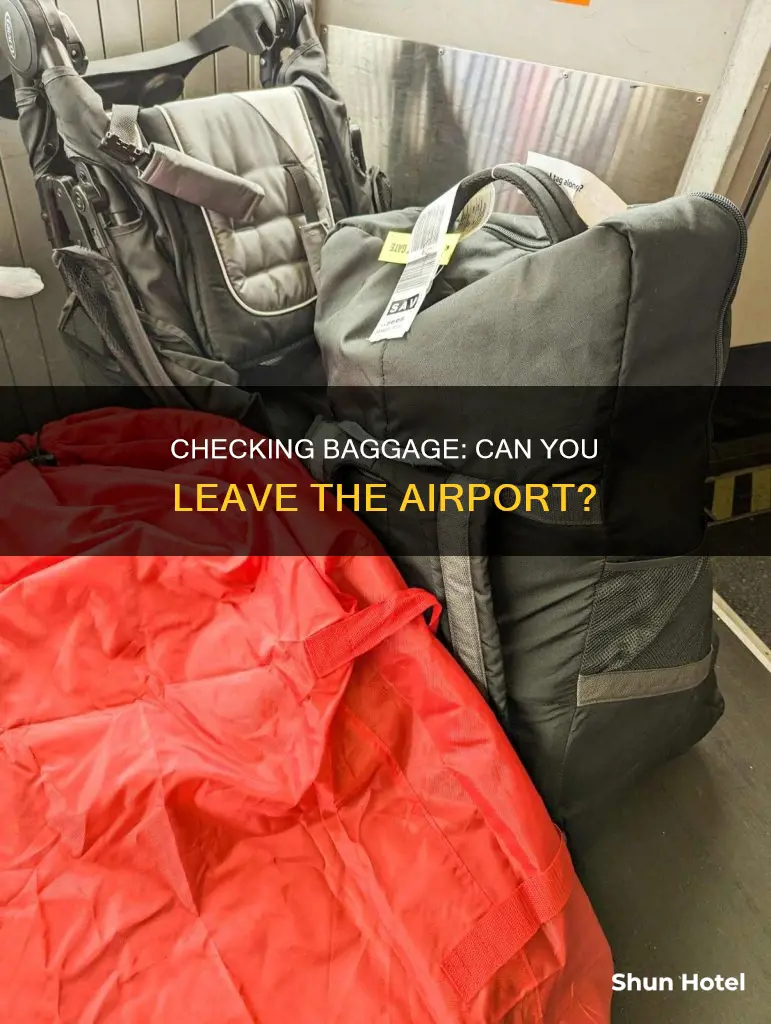 can you check baggage then elave airport