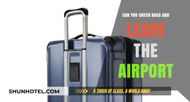 Checking Bags: Leaving the Airport Freely