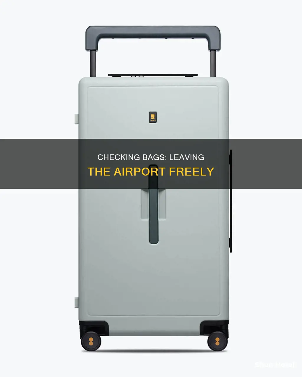 can you check bags and leave the airport