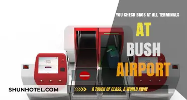 Bush Airport Bag Check: Terminal Options
