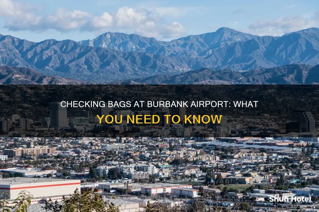 can you check bags at burbank airport