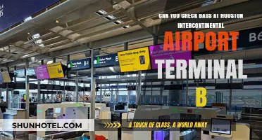 Checking Bags at Houston Intercontinental Airport Terminal B