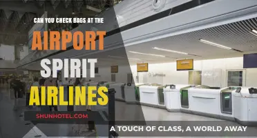 Checking Bags at the Airport with Spirit Airlines