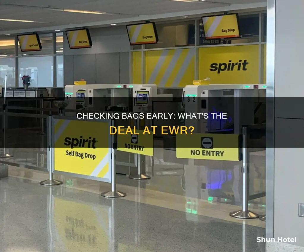 can you check bags early at the airport ewr