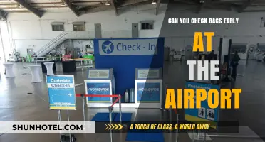 Checking Bags Early: What's the Airport Protocol?