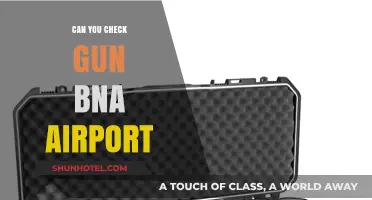 Travelers' Guide: Guns at BNA Airport