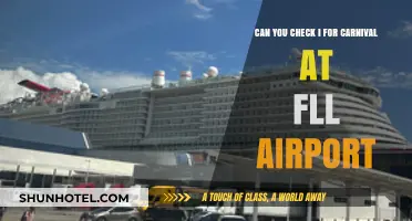 Carnival Fun: FLL Airport Security Check-Ins